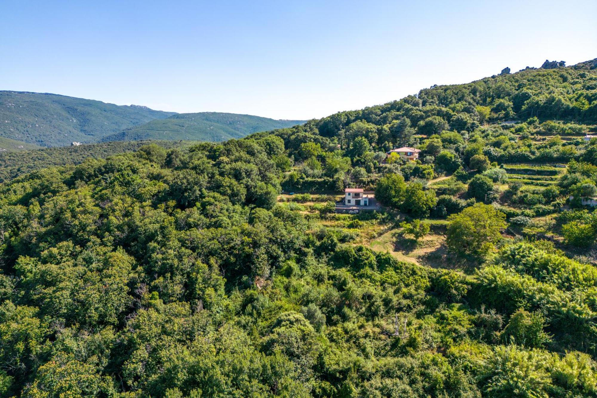 Home On The Hill Tempio Pausania Esterno foto